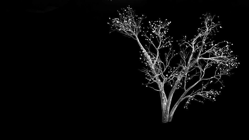 Green Plants-Landscape-Small Tree 60 3D model_2