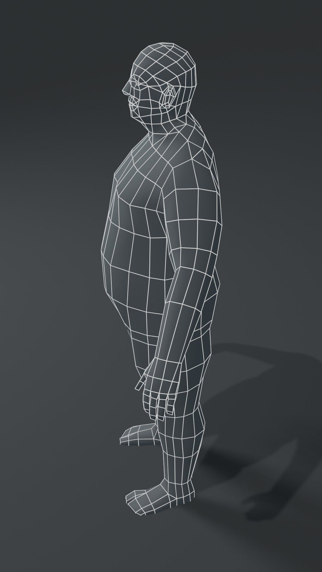 Male Body Fat Base Mesh  3D Model 1000 Polygons Low-poly 3D model_4