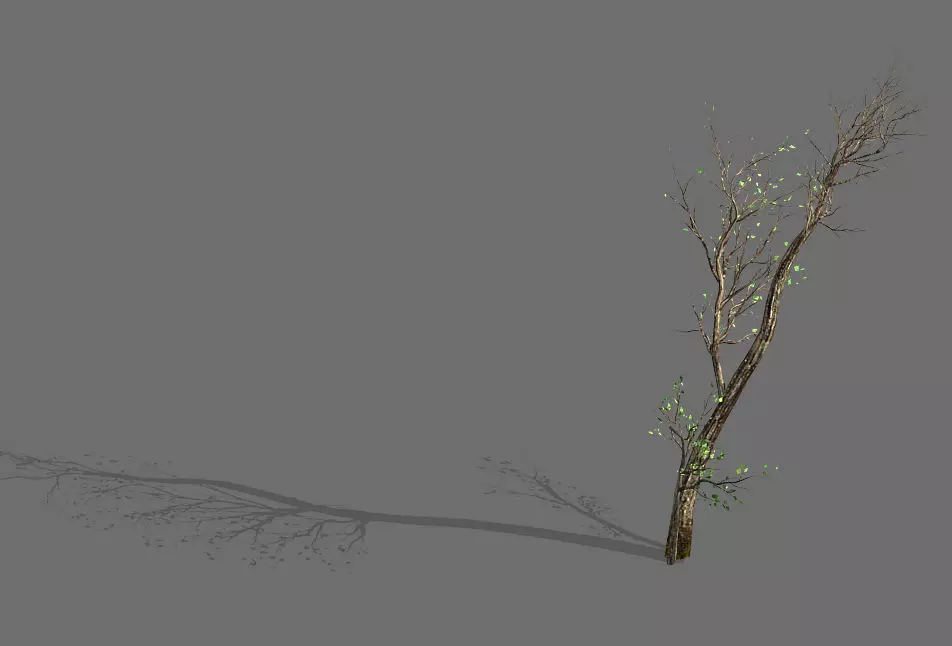 Green Plants-Landscape-Small Tree 61 3D model_0