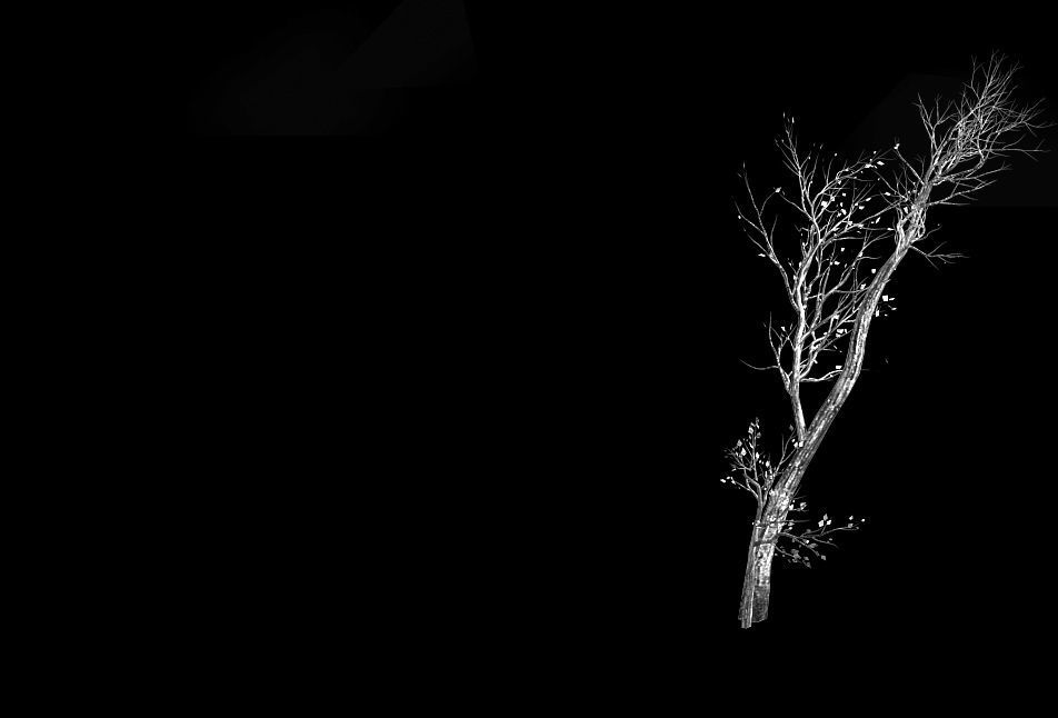 Green Plants-Landscape-Small Tree 61 3D model_2