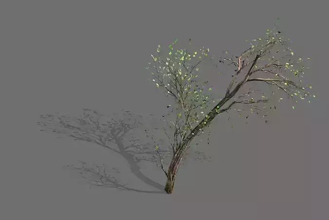 Green Plants-Landscape-Small Tree 63