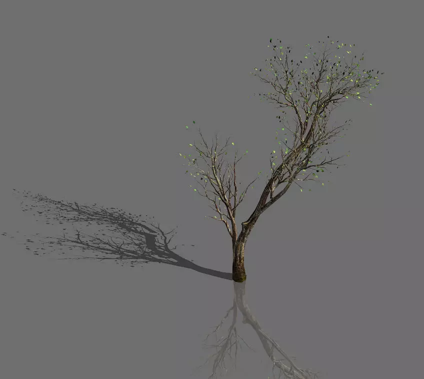 Green Plants-Landscape-Small Tree 64 3D model