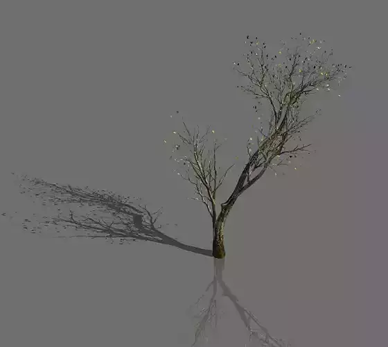 Green Plants-Landscape-Small Tree 64