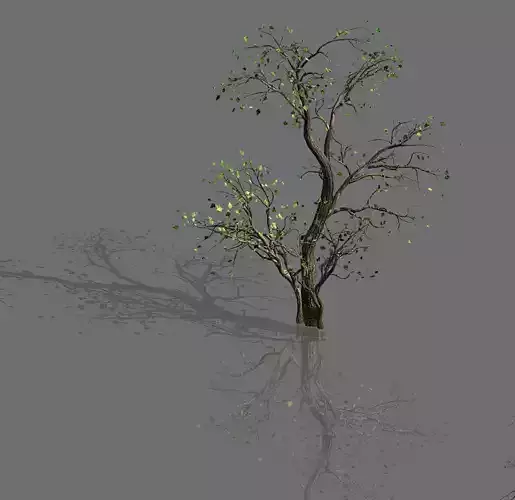 Green Plants-Landscape-Small Tree 65 3D model