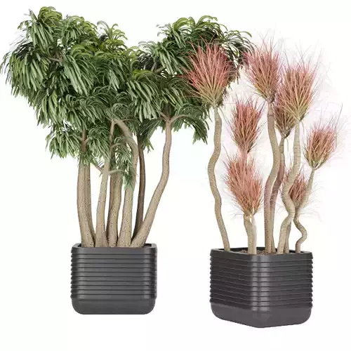 Collection plant vol 9 Free 3D model