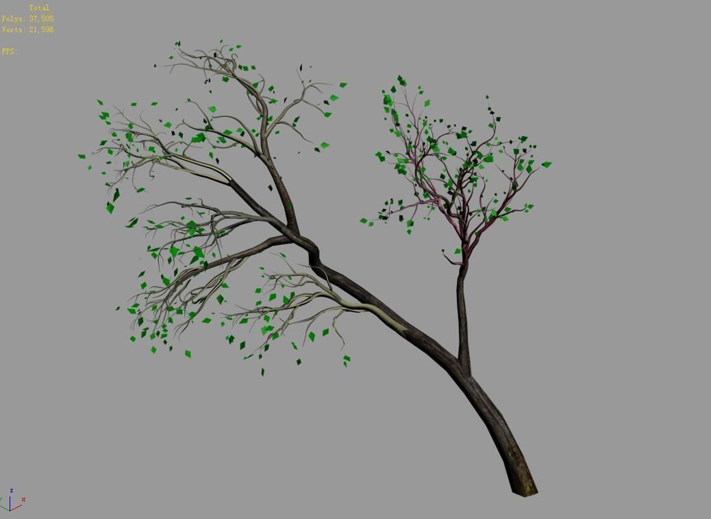 Green Plants-Landscape-Small Tree 66 3D model_3