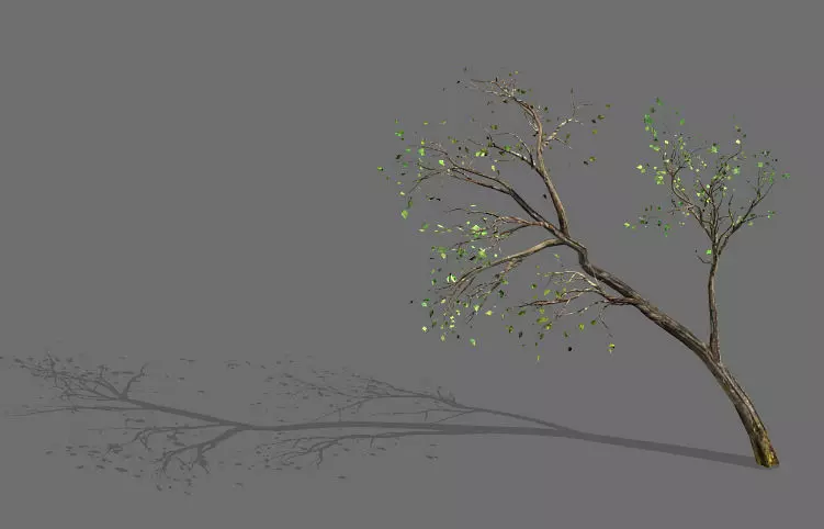Green Plants-Landscape-Small Tree 66 3D model_0