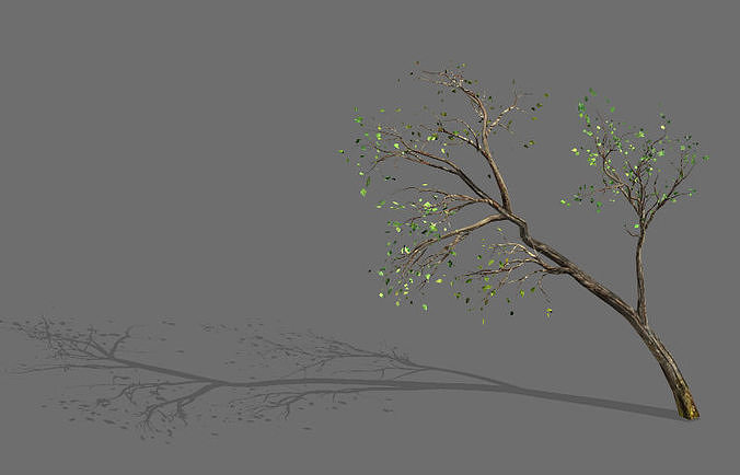 Green Plants-Landscape-Small Tree 66 3D model