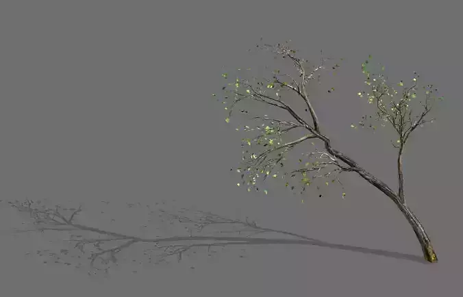 Green Plants-Landscape-Small Tree 66 3D model