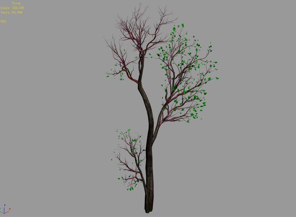 Green Plants-Landscape-Small Tree 68 3D model_4