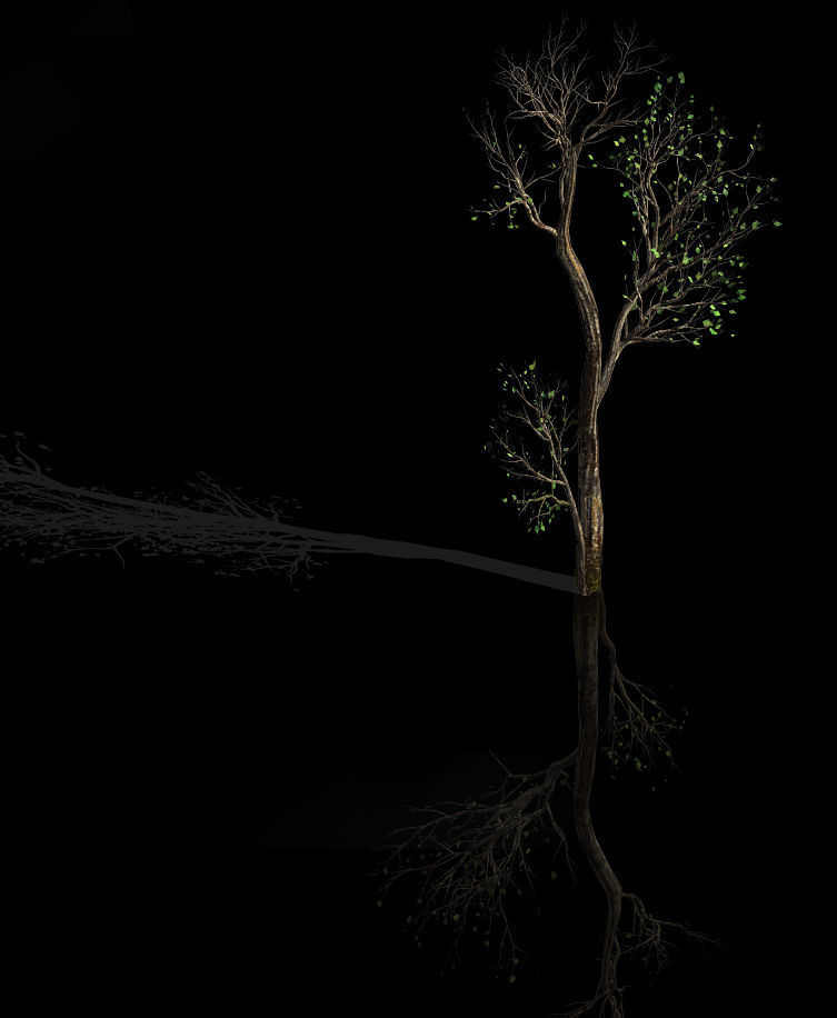 Green Plants-Landscape-Small Tree 68 3D model_1