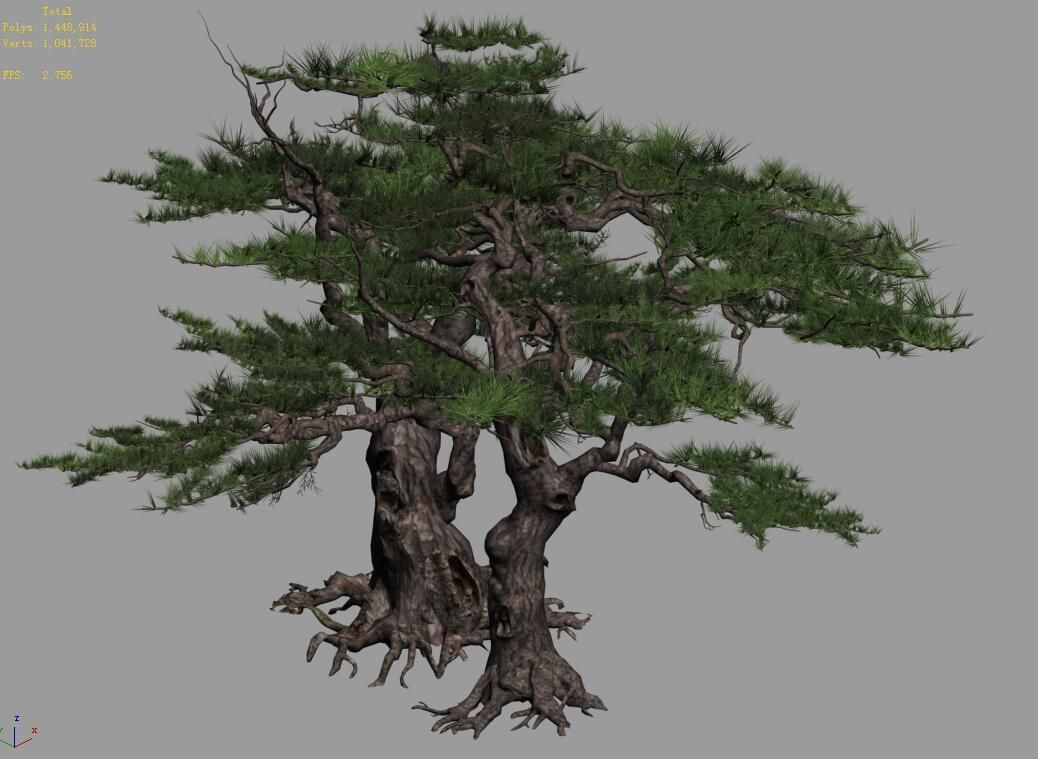 Mount Putuo-Pine 16 3D model_2