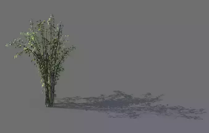 Mount Putuo-Bamboo 22