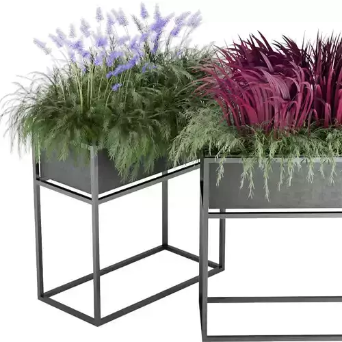 Collection Plant Vol 10 3D model