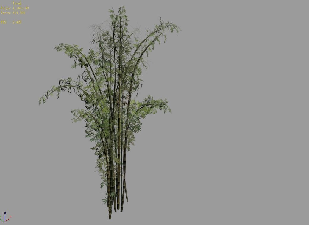 Mount Putuo-Bamboo 23 3D model_4