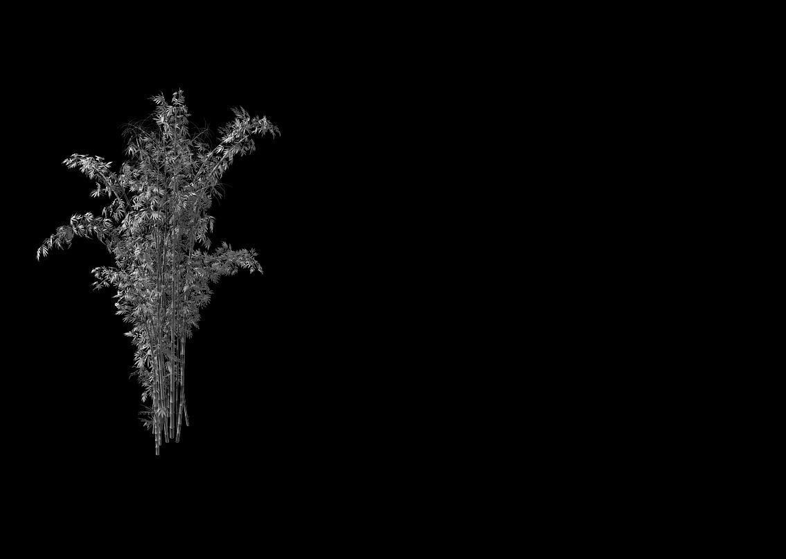 Mount Putuo-Bamboo 23 3D model_2