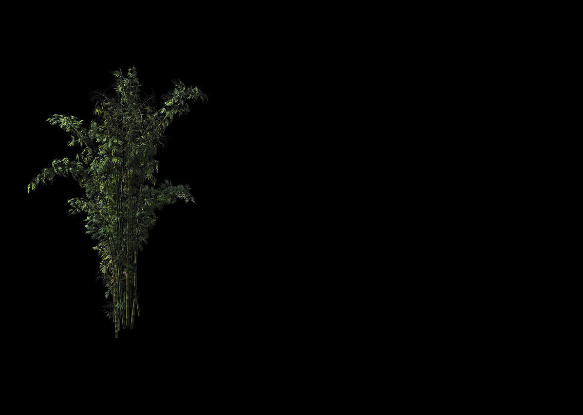 Mount Putuo-Bamboo 23 3D model_1