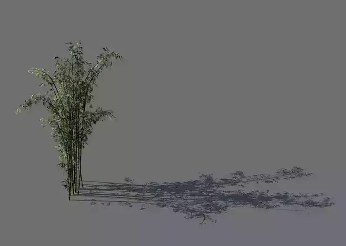 Mount Putuo-Bamboo 23