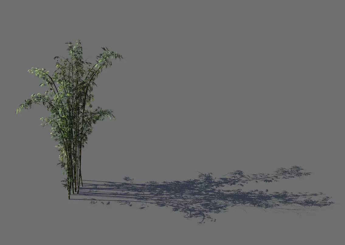Mount Putuo-Bamboo 23 3D model_0