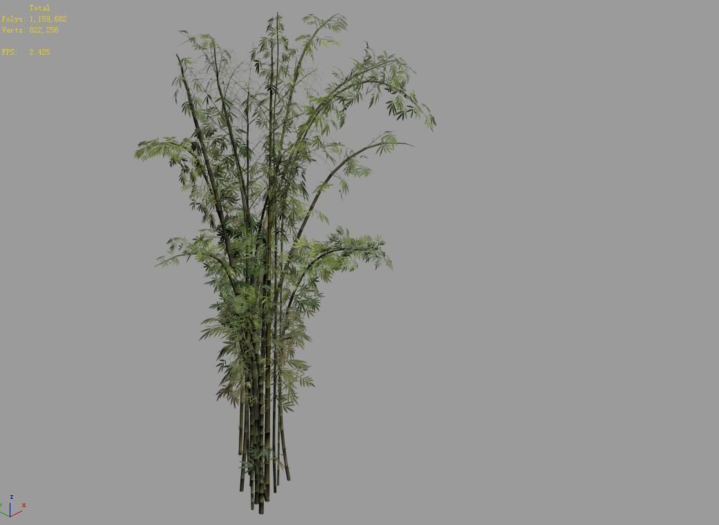 Mount Putuo-Bamboo 24 3D model_4