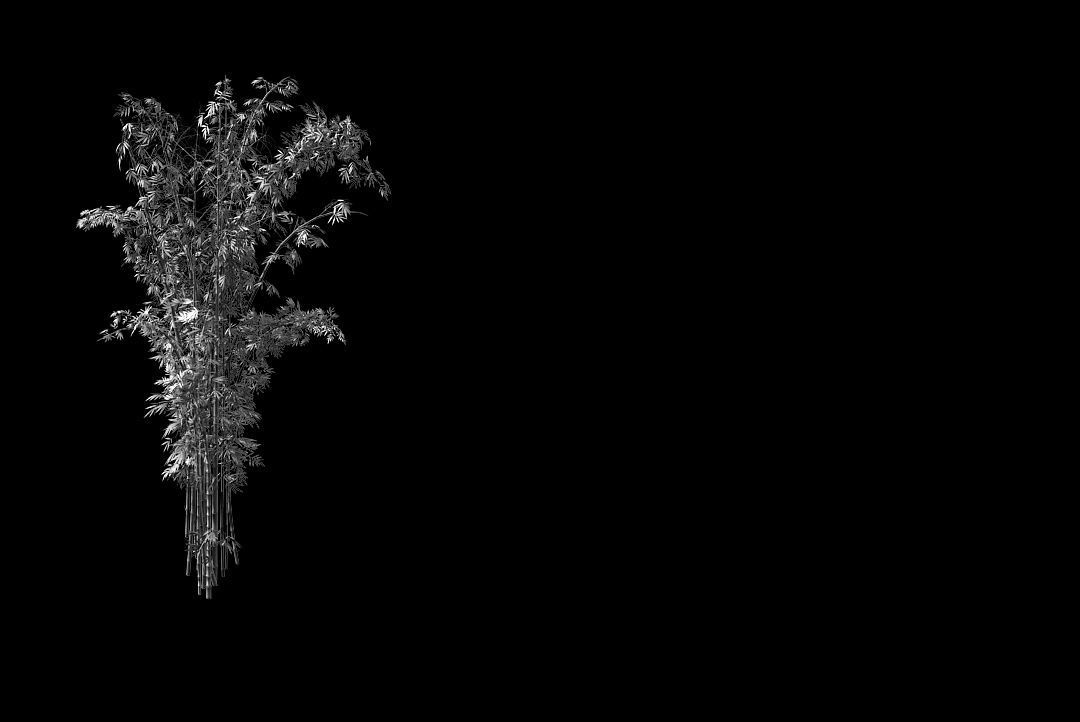 Mount Putuo-Bamboo 24 3D model_2