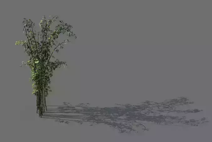 Mount Putuo-Bamboo 24