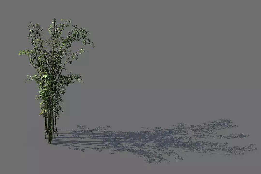 Mount Putuo-Bamboo 24 3D model_0