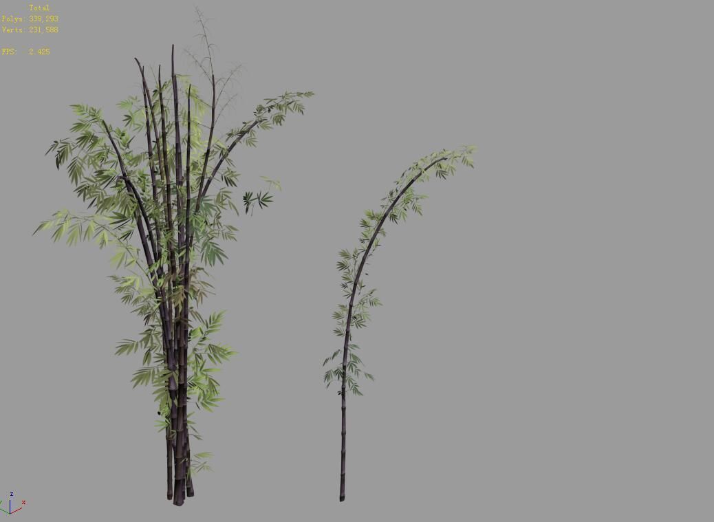 Putuo Mountain-Bamboo 25 3D model_2