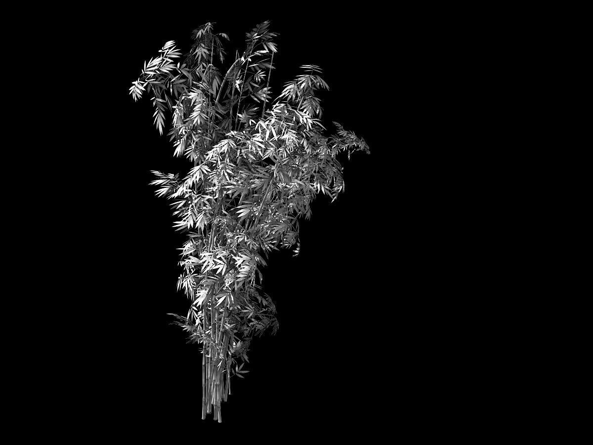 Mount Putuo-Bamboo 26 3D model_2