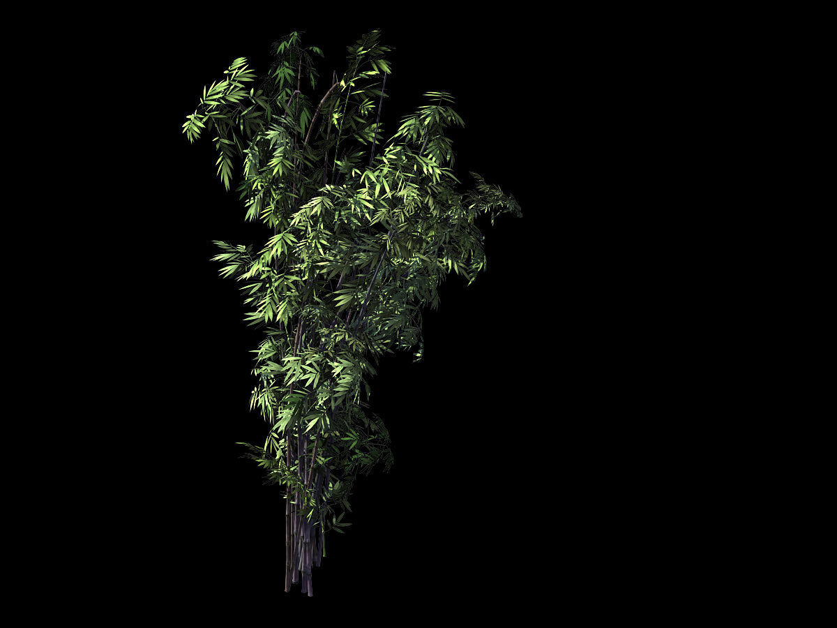 Mount Putuo-Bamboo 26 3D model_1