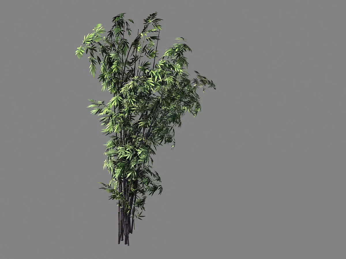 Mount Putuo-Bamboo 26 3D model_0