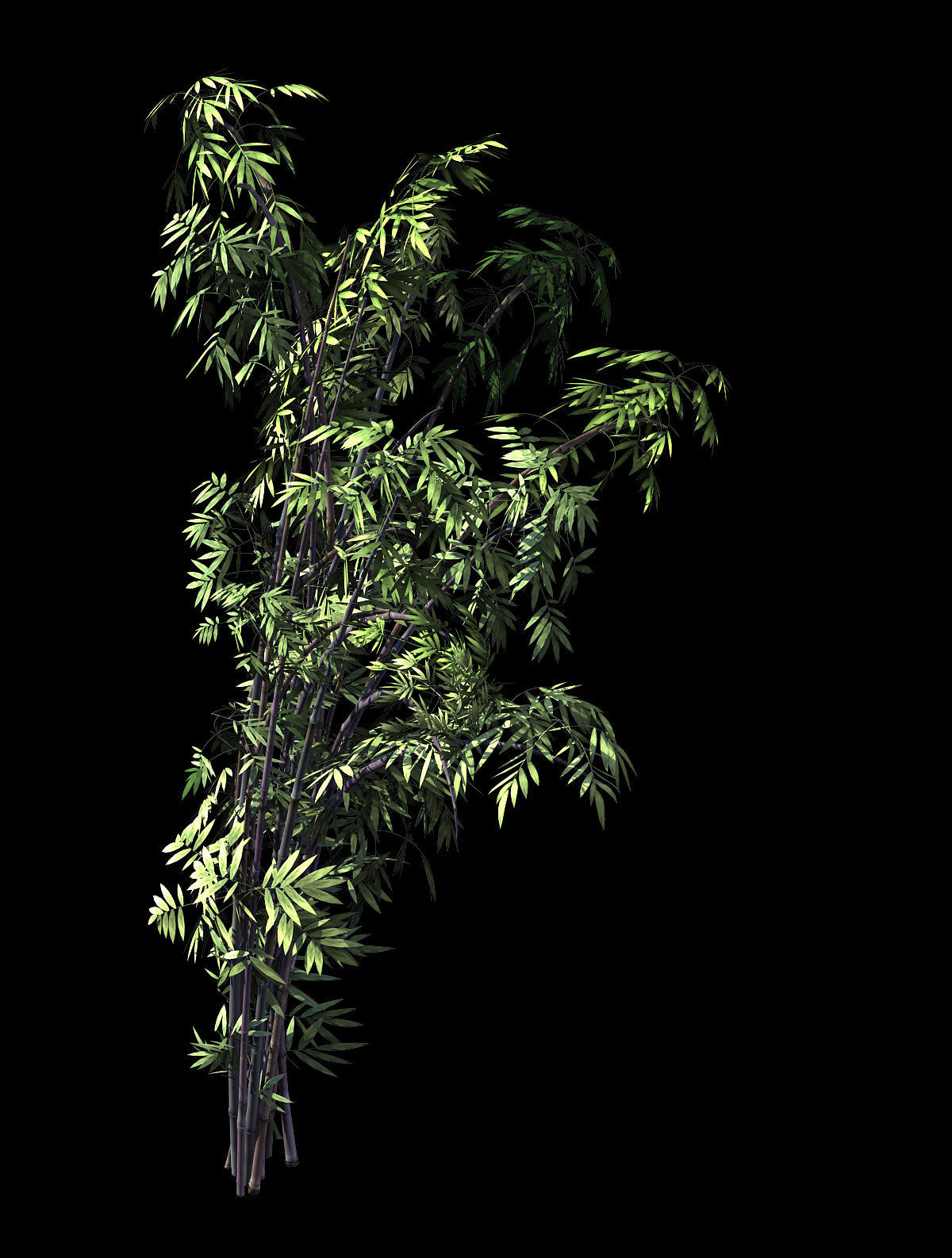 Mount Putuo-Bamboo 27 3D model_1
