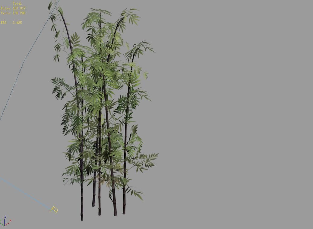 Putuo Mountain-Bamboo 29 3D model_4