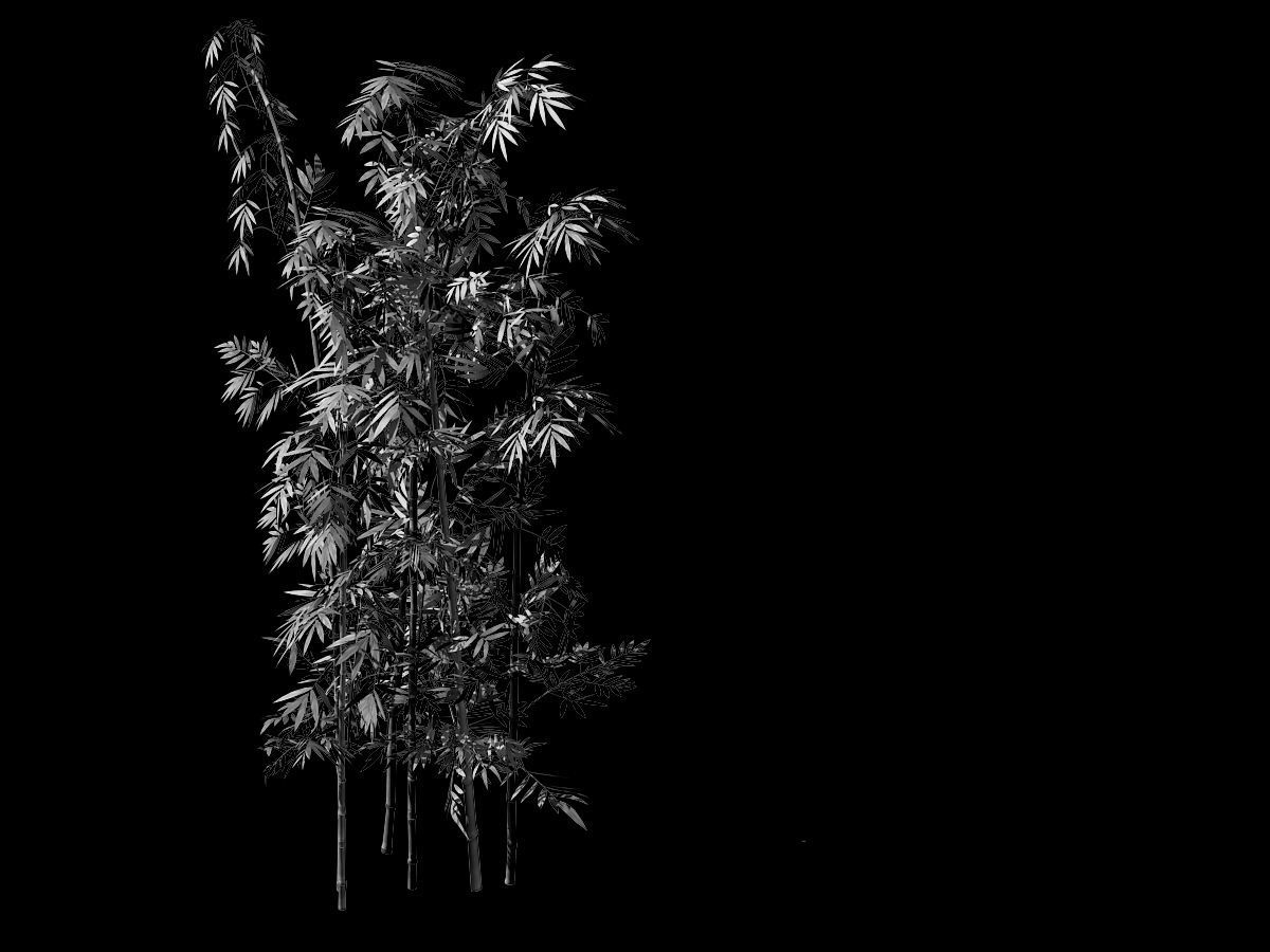 Putuo Mountain-Bamboo 29 3D model_1