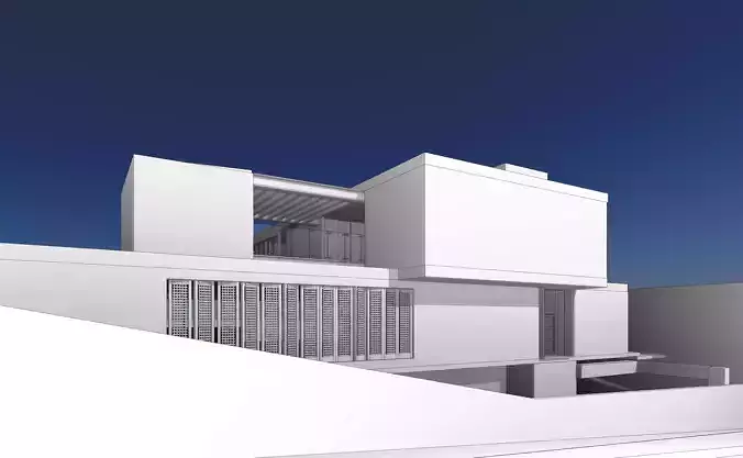 Luxurious Modern House