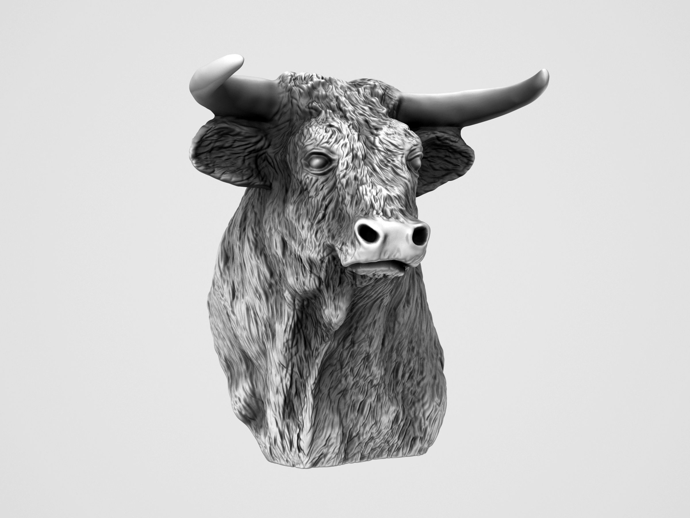 El Toro - The Bull Statue 3D print model_3