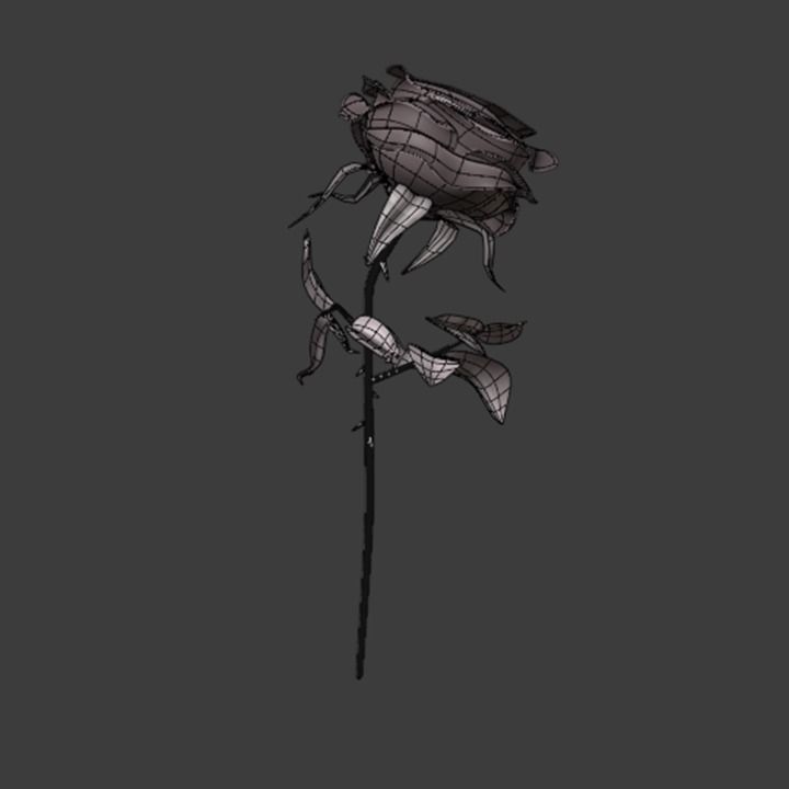 Rose 3d Model 3D model_1