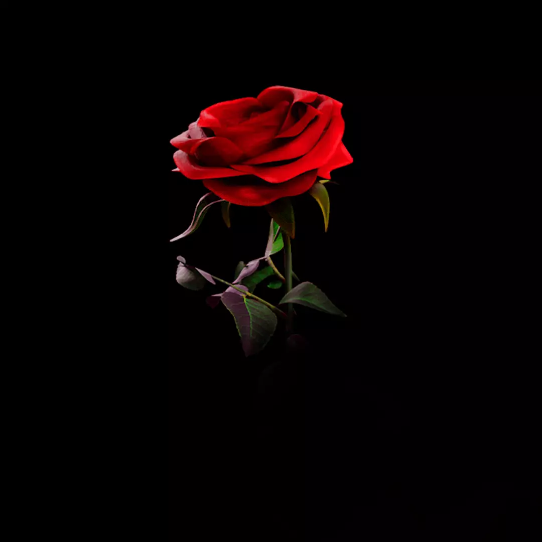 Rose 3d Model 3D model_0