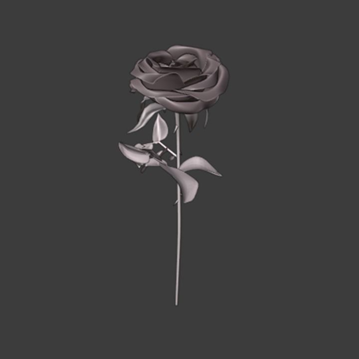 Rose 3d Model 3D model_4