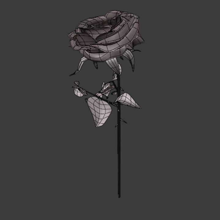 Rose 3d Model 3D model_3