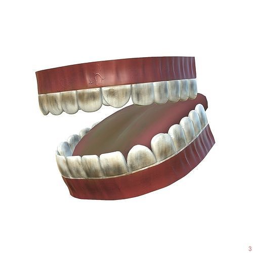 Teeth - Mouth Interior Low-poly 3D model