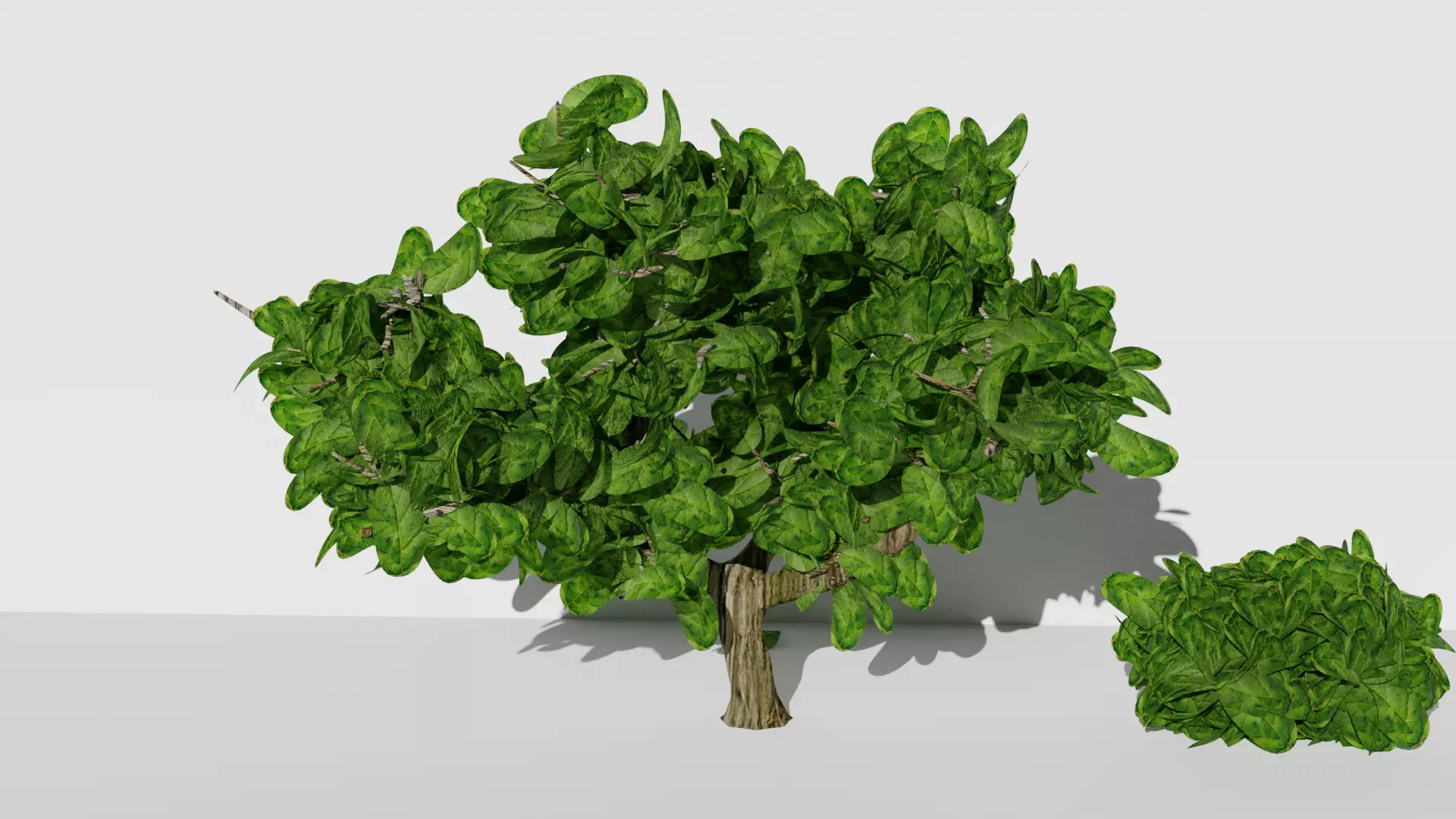 Tree free smal bush PBR Free low-poly 3D model_0