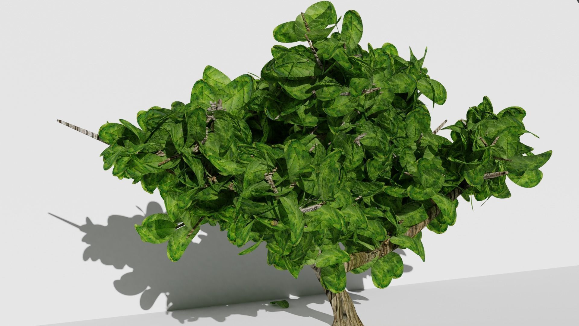 Tree free smal bush PBR Free low-poly 3D model_1