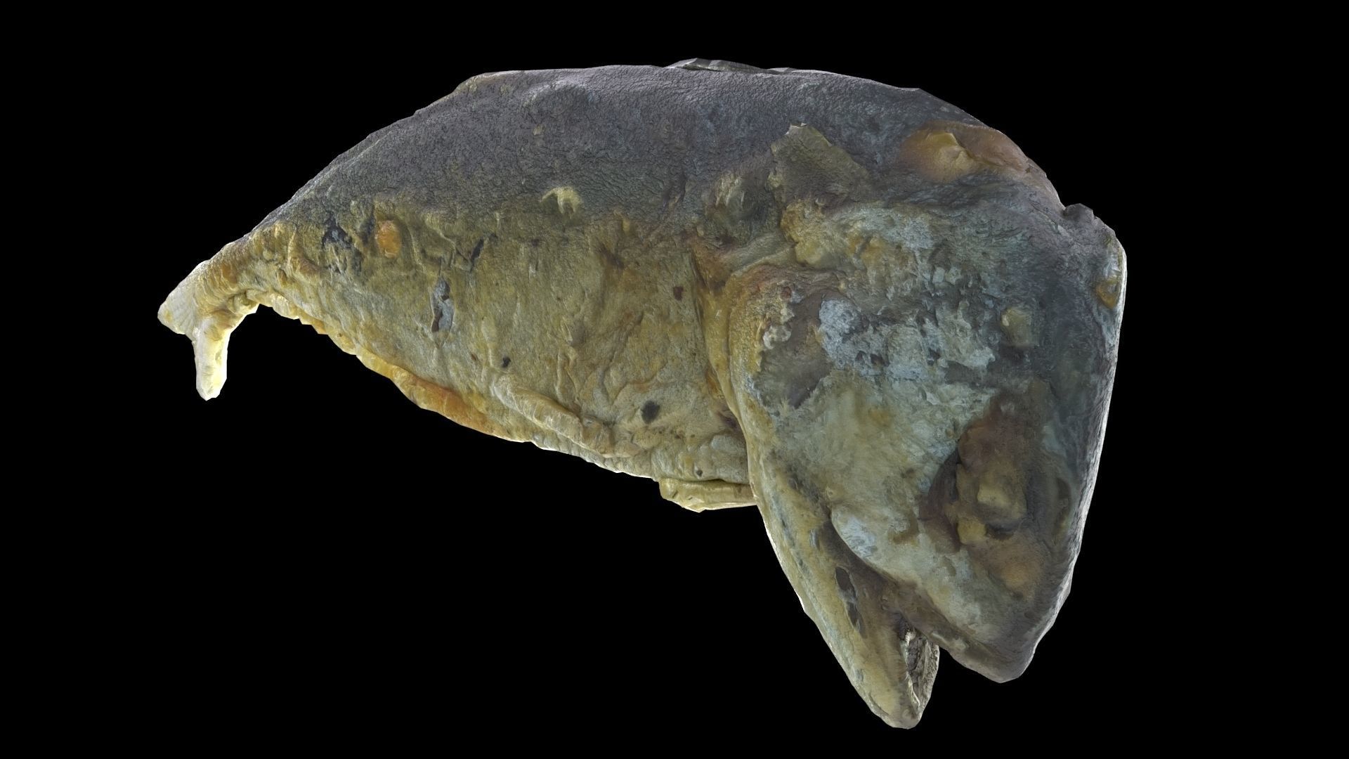 mackerel fried Low-poly 3D model_6