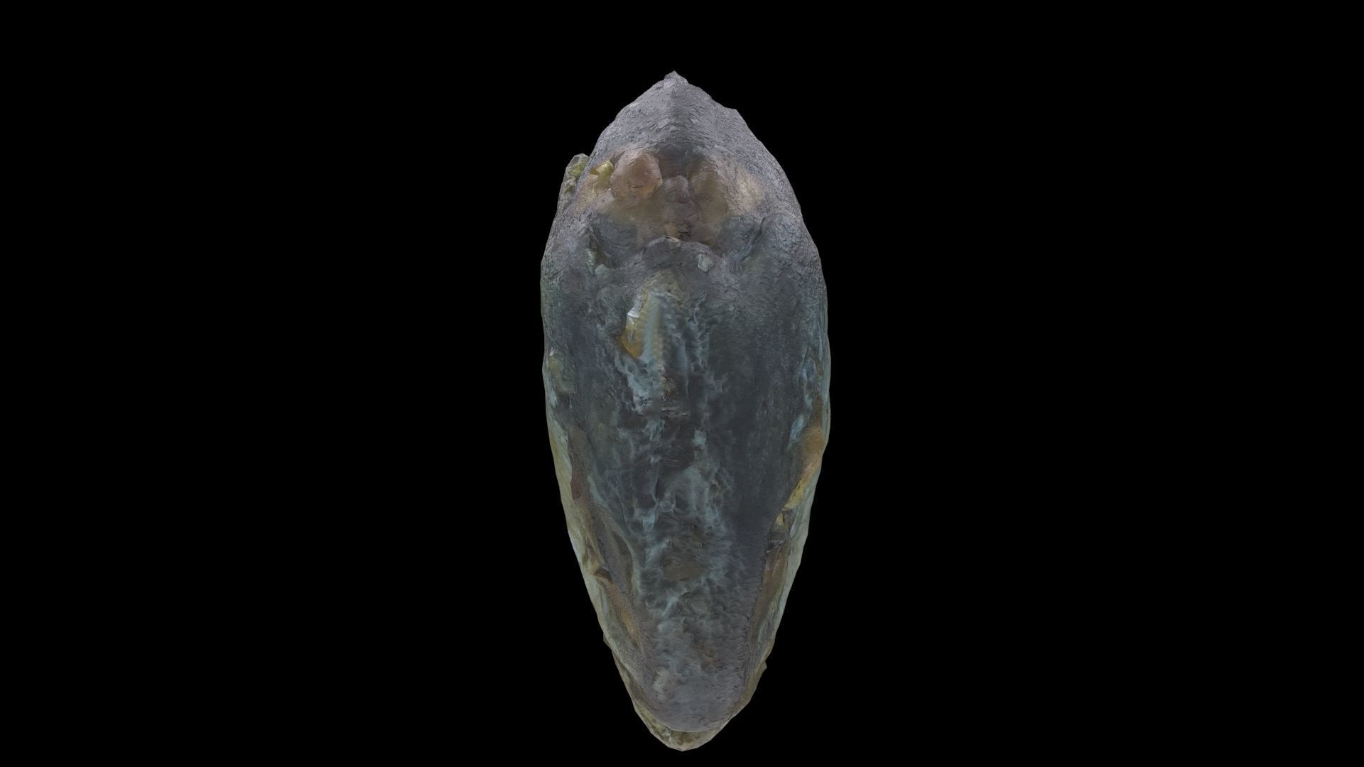 mackerel fried Low-poly 3D model_3