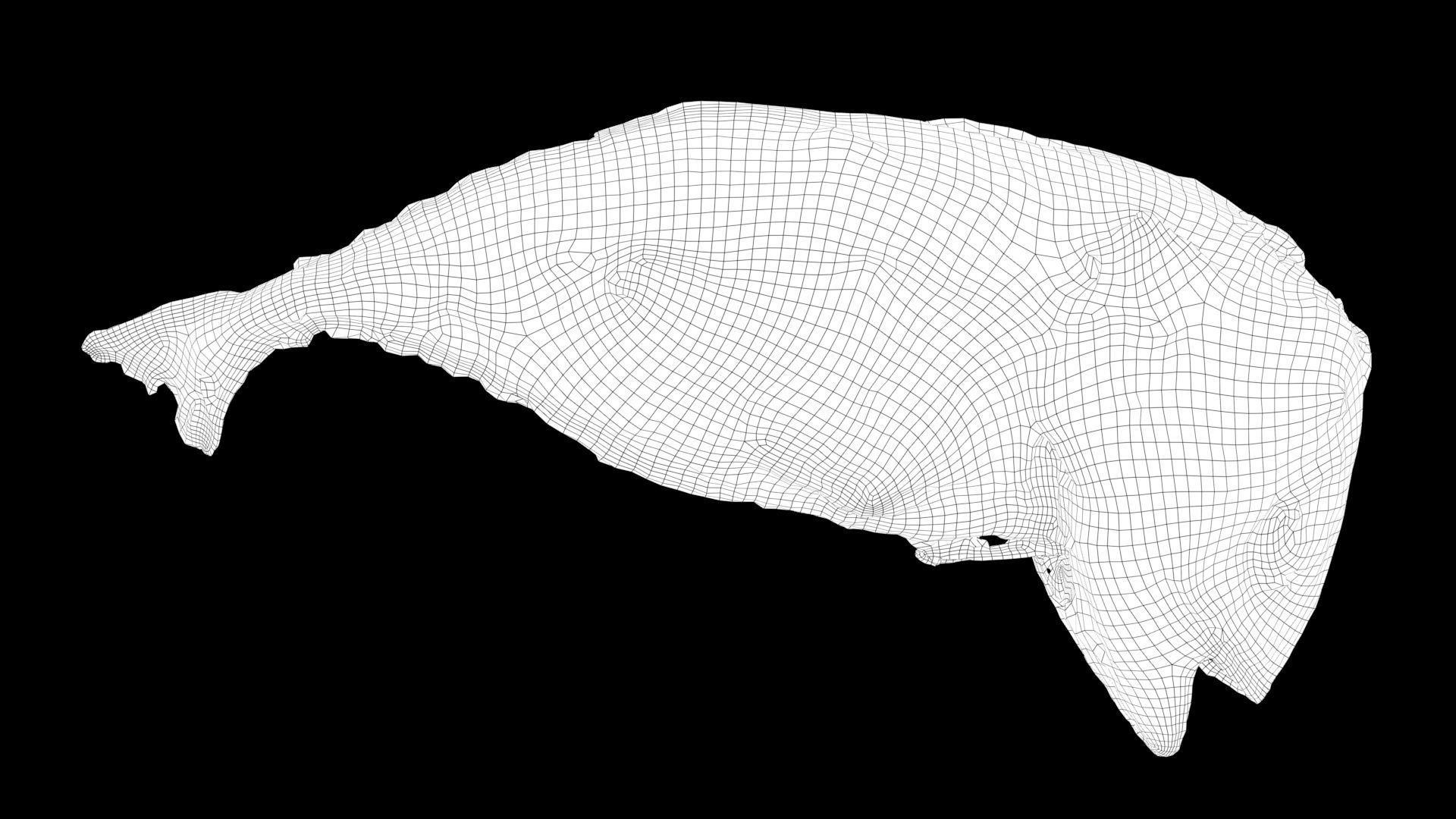 mackerel fried Low-poly 3D model_1