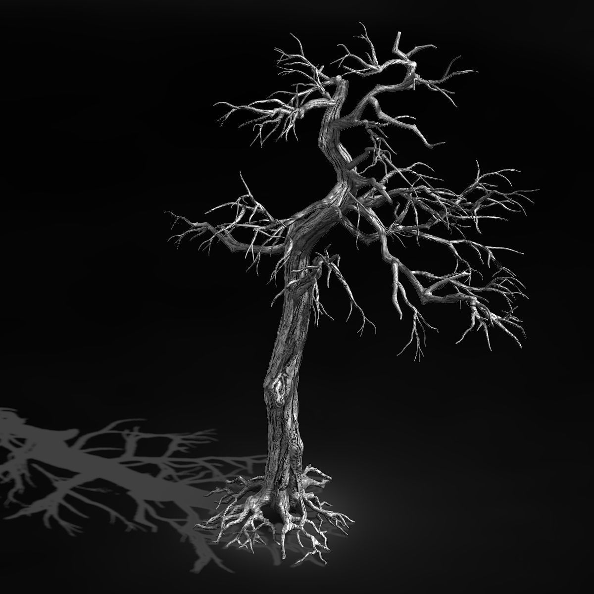 Qianhui Forest-Difu-Dead Tree 002 3D model_2