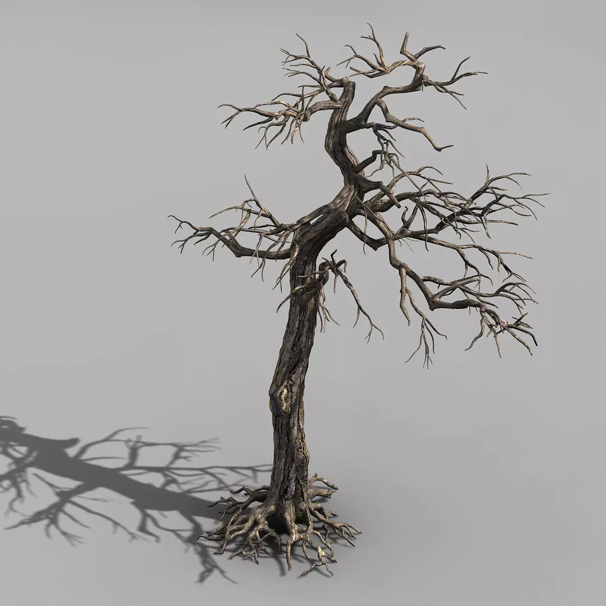 Qianhui Forest-Difu-Dead Tree 002 3D model_0