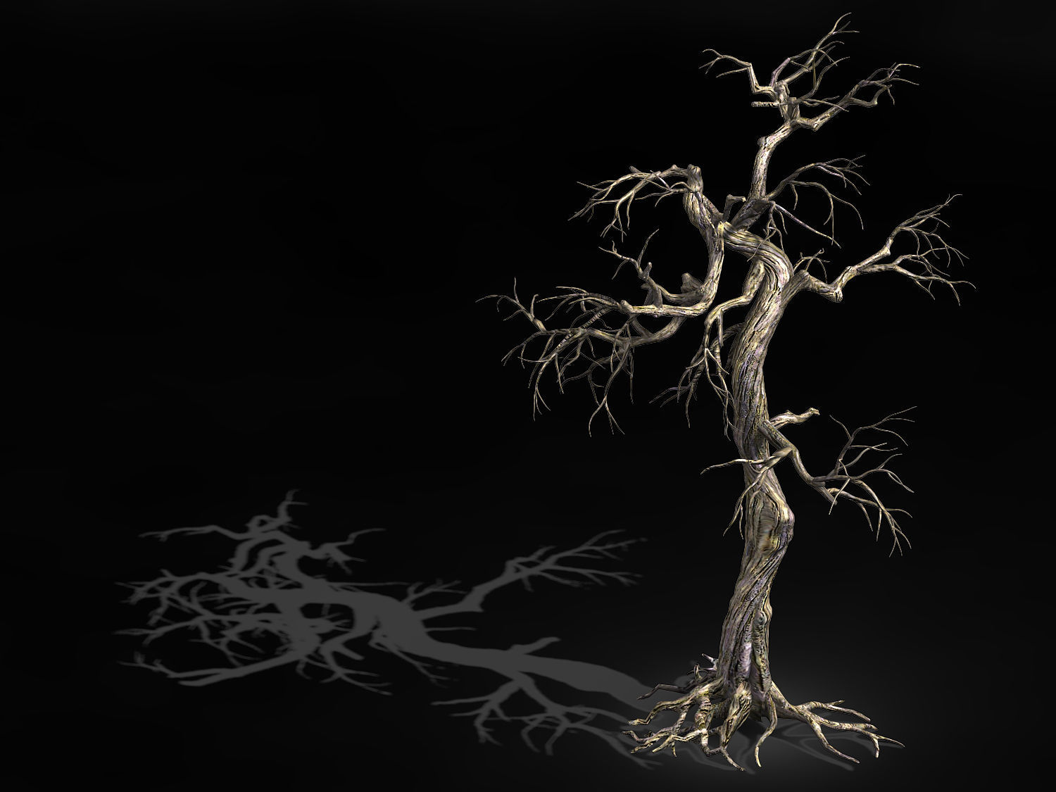 Qianhui Forest-Difu-Dead Tree 003 3D model_1