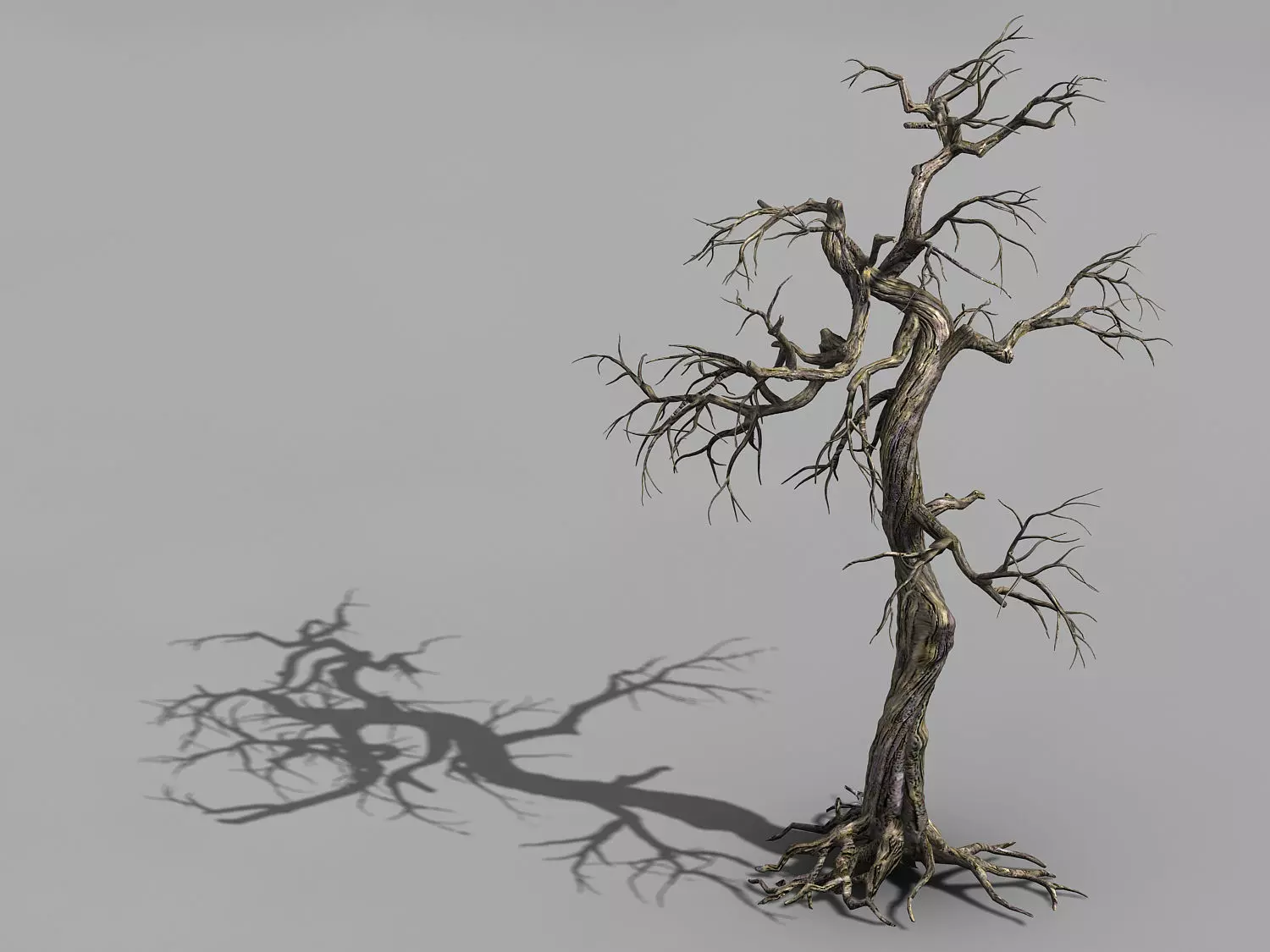 Qianhui Forest-Difu-Dead Tree 003 3D model_0